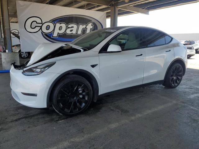 2021 TESLA MODEL Y, null