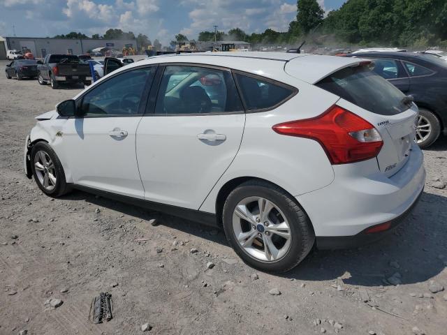 1FADP3K21DL125872 - 2013 FORD FOCUS SE WHITE photo 2