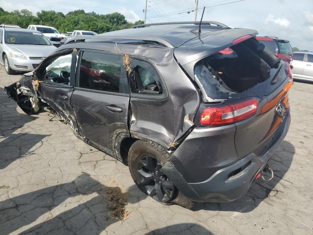 1C4PJMBX9JD502853 - 2018 JEEP CHEROKEE TRAILHAWK GRAY photo 2