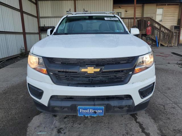 1GCGTBEN6K1200724 - 2019 CHEVROLET COLORADO Ağ foto 5