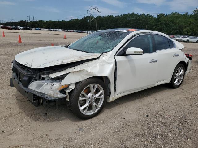 1N4AA5APXEC474902 - 2014 NISSAN MAXIMA S WHITE photo 1