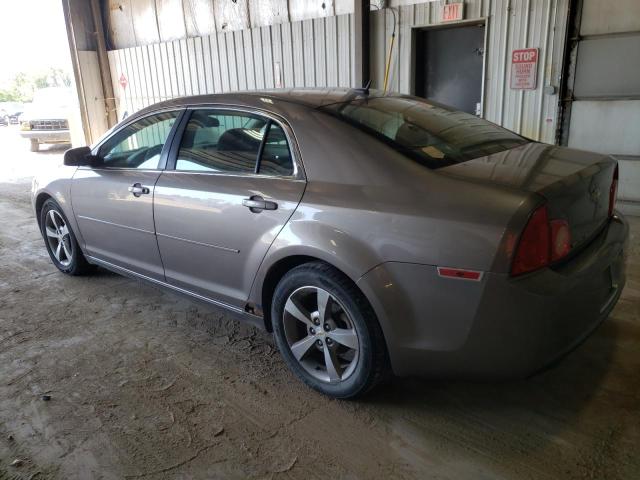 1G1ZC5E12BF364880 - 2011 CHEVROLET MALIBU 1LT 棕色 照片 2