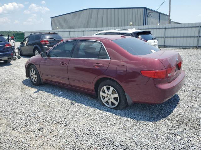 1HGCM66555A019539 - 2005 HONDA ACCORD EX BURGUNDY photo 2