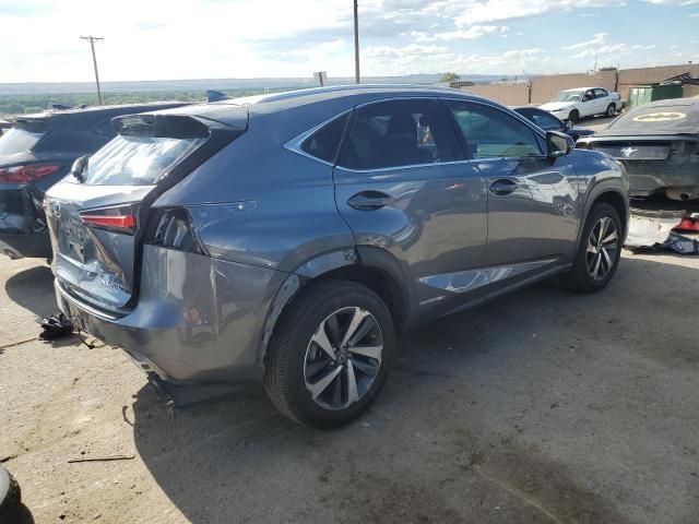 JTJGJRDZ8L2144507 - 2020 LEXUS NX 300H GRAY photo 3