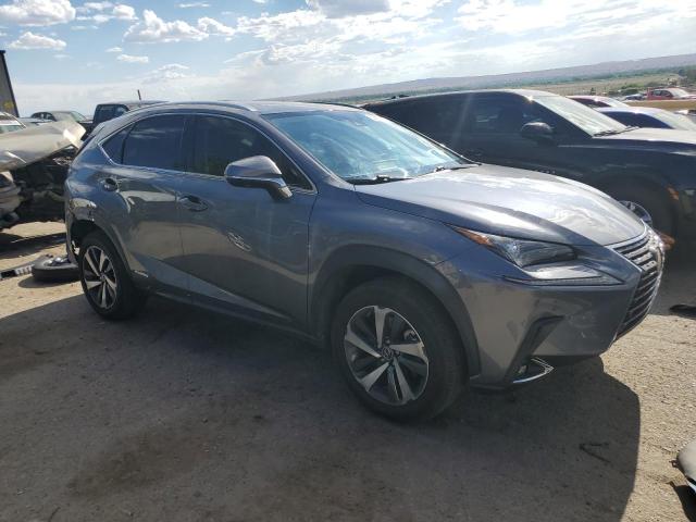 JTJGJRDZ8L2144507 - 2020 LEXUS NX 300H GRAY photo 4