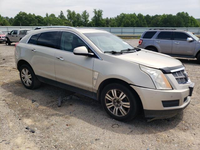 3GYFNDEY2AS597724 - 2010 CADILLAC SRX LUXURY COLLECTION GOLD photo 4