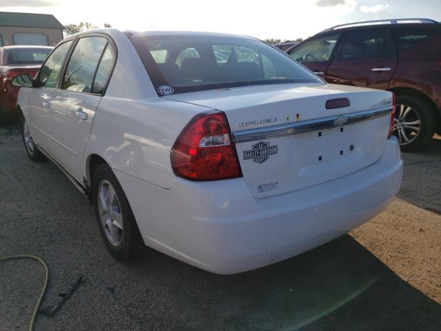 1G1ZT52874F229060 - 2004 CHEVROLET MALIBU LS WHITE photo 3