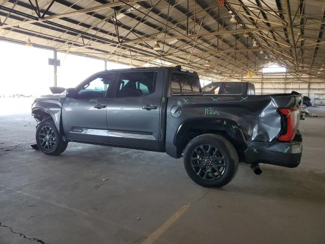 5TFNA5DB6PX069028 - 2023 TOYOTA TUNDRA CREWMAX PLATINUM 灰色 照片 2