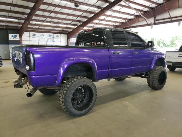 1D7HU18D54J246505 - 2004 DODG RAM 1500 ST PURPLE photo 3