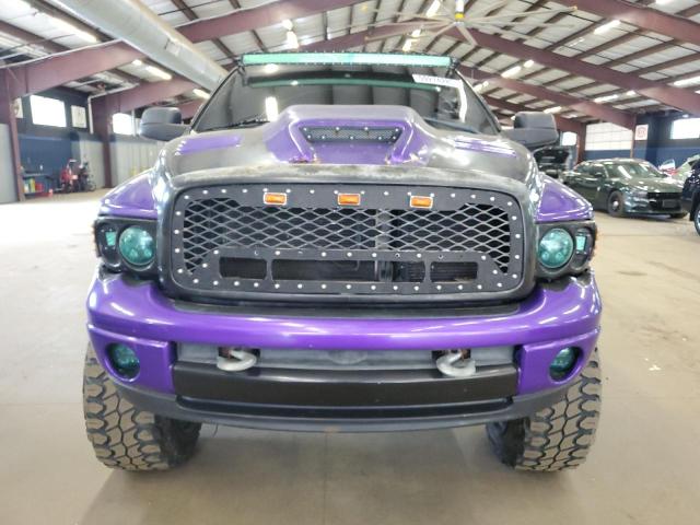 1D7HU18D54J246505 - 2004 DODG RAM 1500 ST PURPLE photo 5