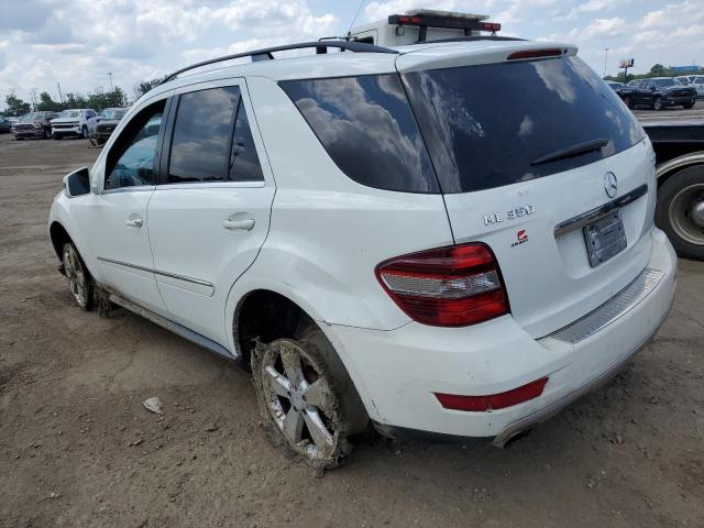4JGBB8GB5BA684822 - 2011 MERCEDES-BENZ ML 350 4MATIC WHITE photo 2