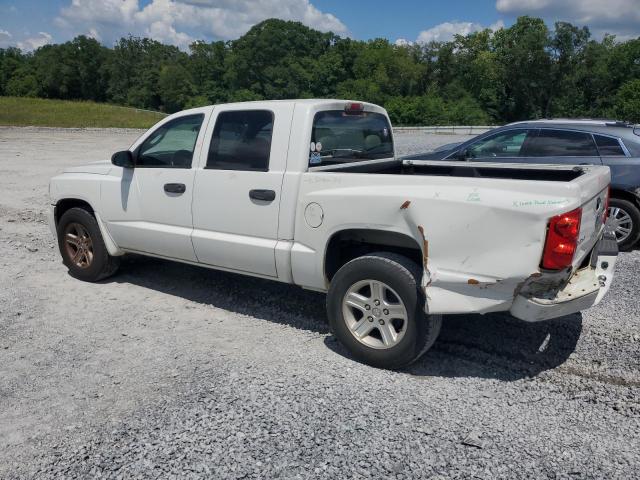 1D7RE3GK0BS579070 - 2011 DODGE DAKOTA SLT WHITE photo 2