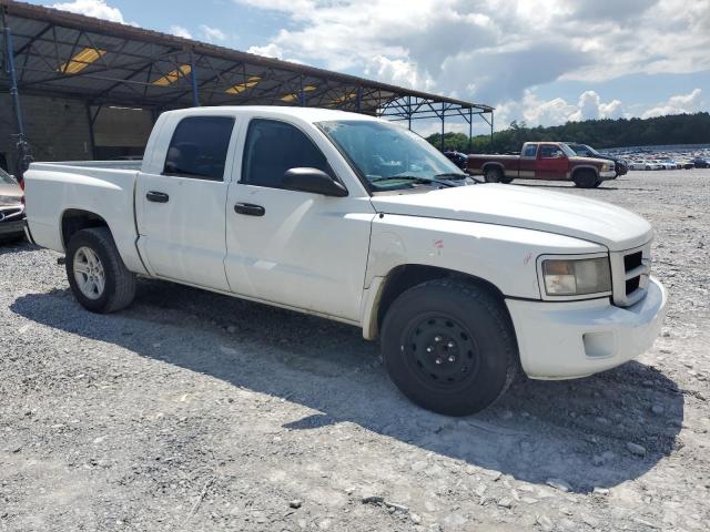 1D7RE3GK0BS579070 - 2011 DODGE DAKOTA SLT WHITE photo 4