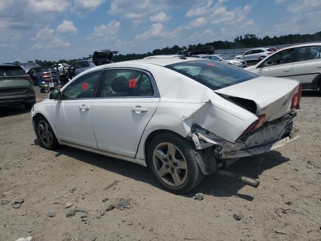 1G1ZC5EB4A4136768 - 2010 CHEVROLET MALIBU 1LT 白色 照片 2