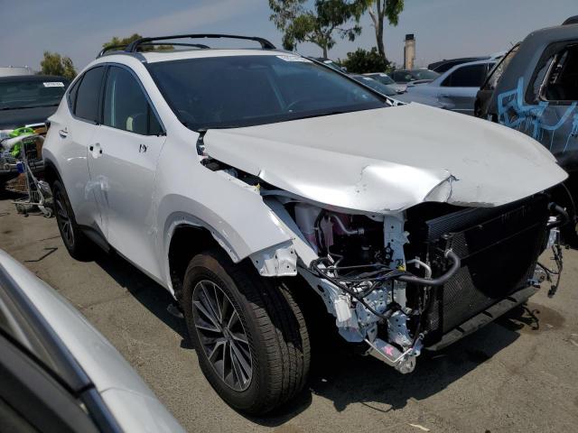 JTJAKCEZ6R5016563 - 2024 LEXUS NX 350H BASE WHITE photo 4