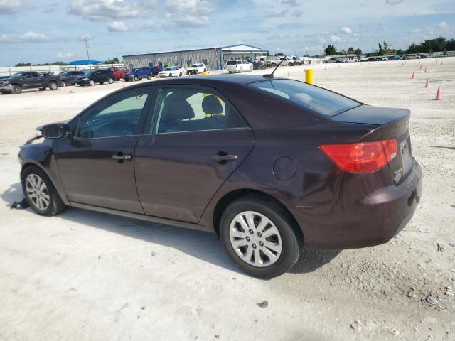 KNAFU4A27B5358589 - 2011 KIA FORTE EX PURPLE photo 2