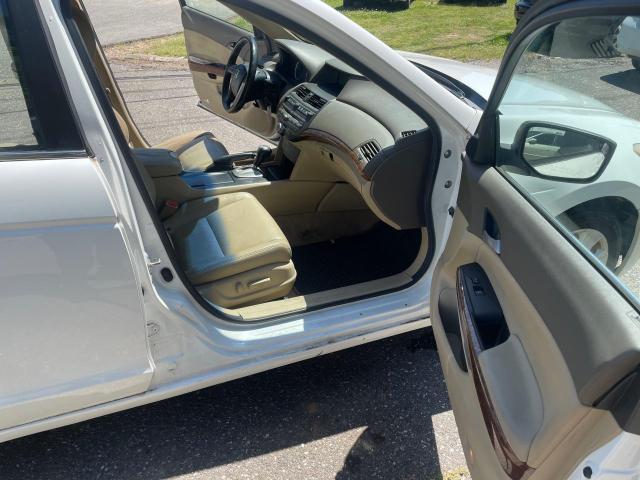 5KBCP3F87AB005983 - 2010 HONDA ACCORD EXL WHITE photo 5