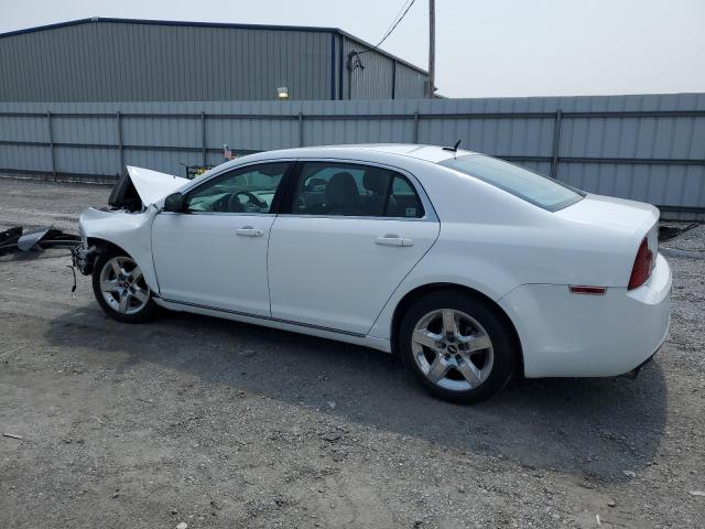 1G1ZC5EB7AF245018 - 2010 CHEVROLET MALIBU 1LT WHITE photo 2