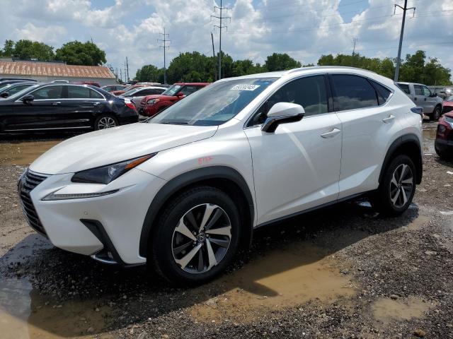 JTJBARBZ4J2157538 - 2018 LEXUS NX 300 BASE Ağ foto 1