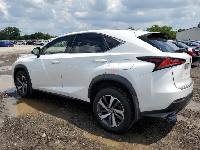 JTJBARBZ4J2157538 - 2018 LEXUS NX 300 BASE Ağ foto 2