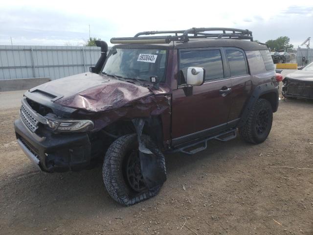 JTEBU11F270071616 - 2007 TOYOTA FJ CRUISER PURPLE photo 1