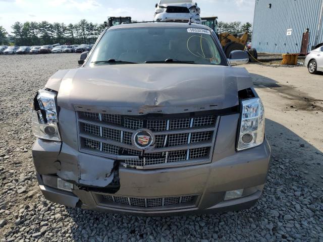 1GYS4CEF7DR190449 - 2013 CADILLAC ESCALADE PREMIUM TAN photo 5