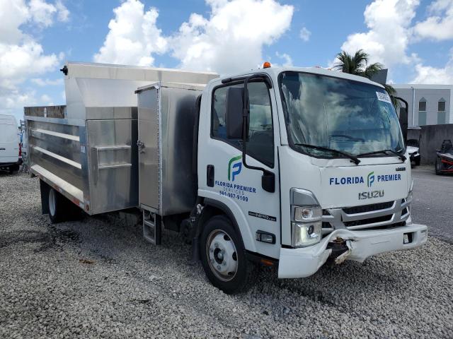 54DC4W1D4RS210975 - 2024 ISUZU NPR HD თეთრი ფოტო 4