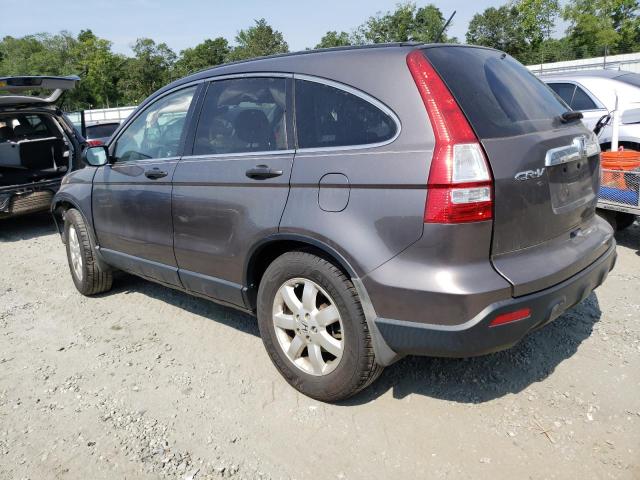 3CZRE38539G701225 - 2009 HONDA CR-V EX GRAY photo 2