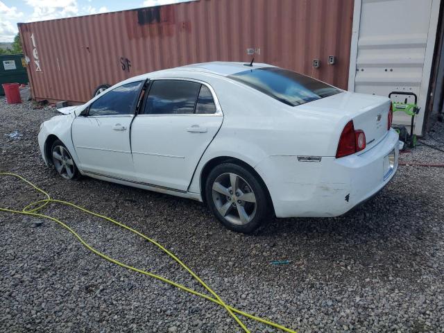 1G1ZC5E1XBF370894 - 2011 CHEVROLET MALIBU 1LT 白色 照片 2