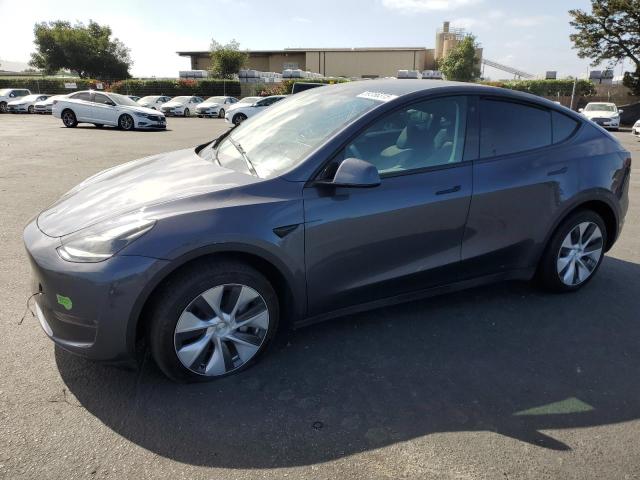 2023 TESLA MODEL Y, null