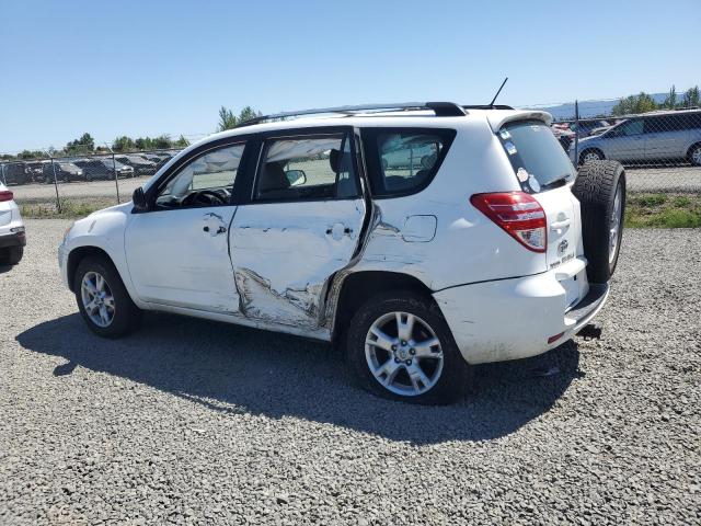 2T3BF33V69W004112 - 2009 TOYOTA RAV4 Ağ foto 2