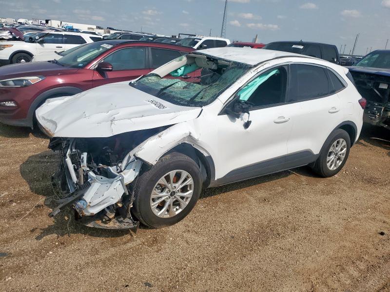 2024 FORD ESCAPE ACTIVE, null