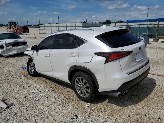 JTJDARBZ7M5027183 - 2021 LEXUS NX 300 BASE Ağ foto 2
