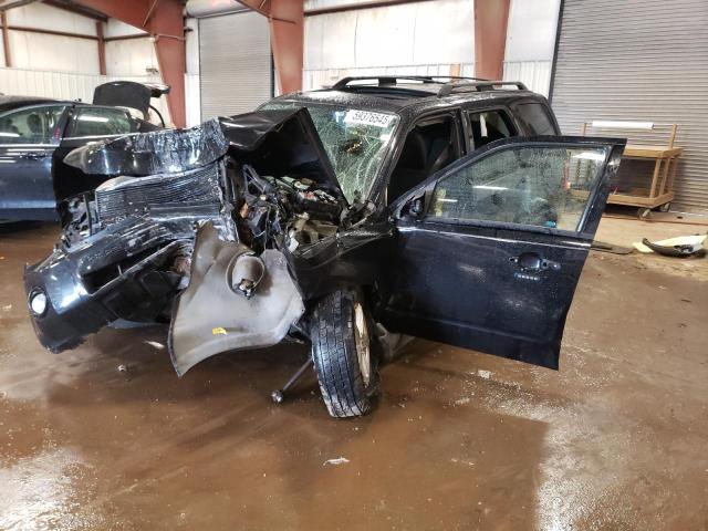 2010 FORD ESCAPE XLT, 