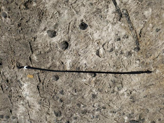 4T1G11BK0PU097408 - 2023 TOYOTA CAMRY SE NIGHT SHADE WHITE photo 12