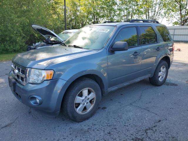 2010 FORD ESCAPE XLT, null