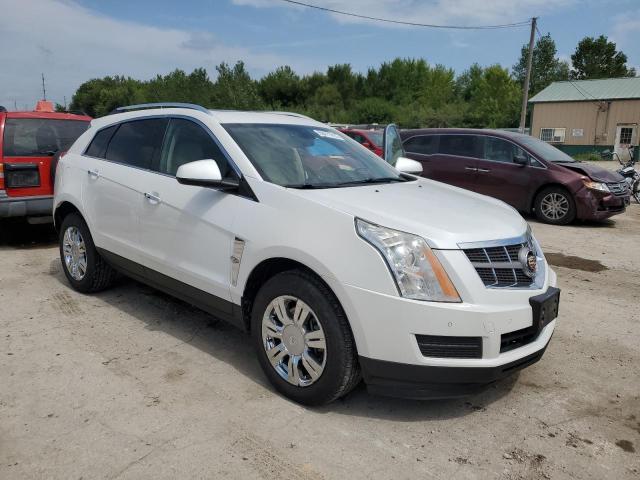 3GYFNAEY6BS533833 - 2011 CADILLAC SRX LUXURY COLLECTION WHITE photo 4