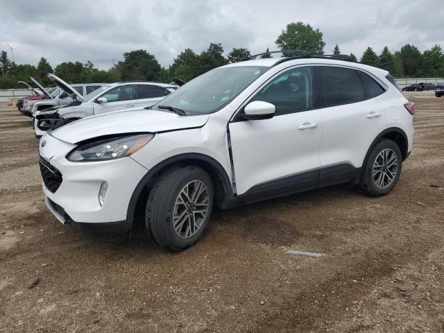 2020 FORD ESCAPE SEL, null