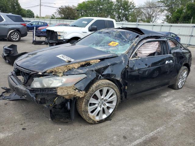 2010 HONDA ACCORD EXL, 