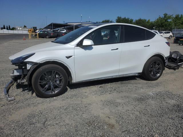 2024 TESLA MODEL Y, null