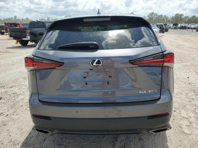 JTJDARBZ4M2184820 - 2021 LEXUS NX 300 BASE Boz foto 6