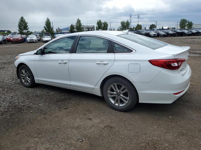 5NPE24AF7FH138561 - 2015 HYUNDAI SONATA SE WHITE photo 2