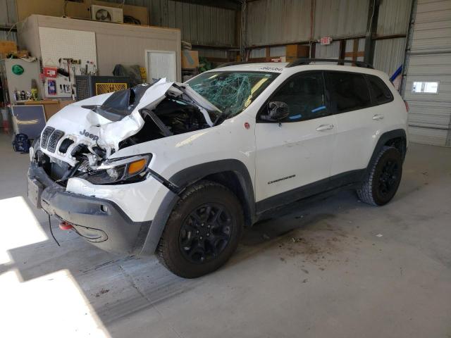 1C4PJMBX4KD115063 - 2019 JEEP CHEROKEE TRAILHAWK WHITE photo 1