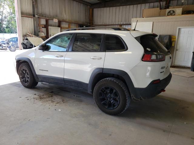 1C4PJMBX4KD115063 - 2019 JEEP CHEROKEE TRAILHAWK WHITE photo 2