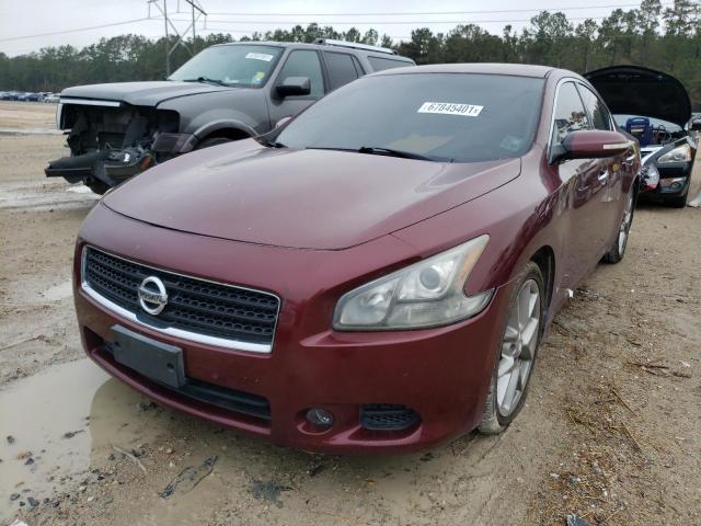 1N4AA5AP2BC813504 - 2011 NISSAN MAXIMA S BURGUNDY photo 2