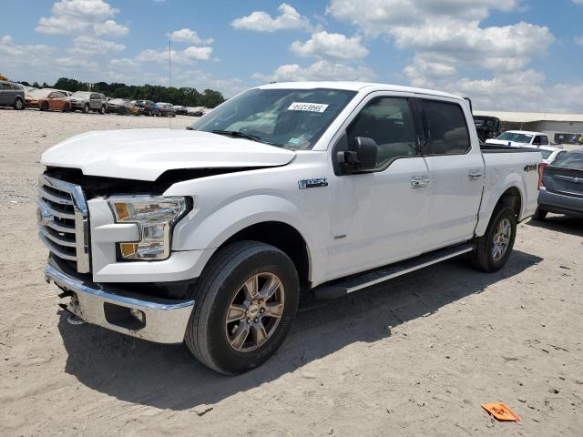 1FTEW1EP0FKE14182 - 2015 FORD F150 SUPERCREW WHITE photo 1