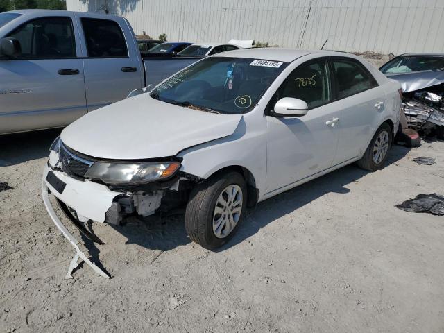 KNAFU4A28C5614207 - 2012 KIA FORTE EX WHITE photo 2