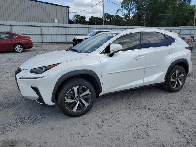 JTJGARBZ7M5030551 - 2021 LEXUS NX 300 BASE თეთრი ფოტო 1
