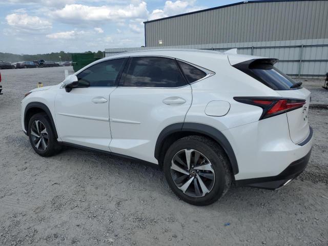 JTJGARBZ7M5030551 - 2021 LEXUS NX 300 BASE თეთრი ფოტო 2