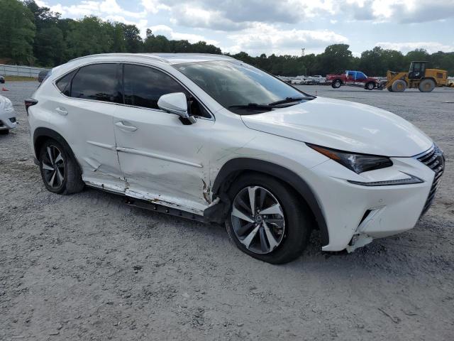 JTJGARBZ7M5030551 - 2021 LEXUS NX 300 BASE თეთრი ფოტო 4